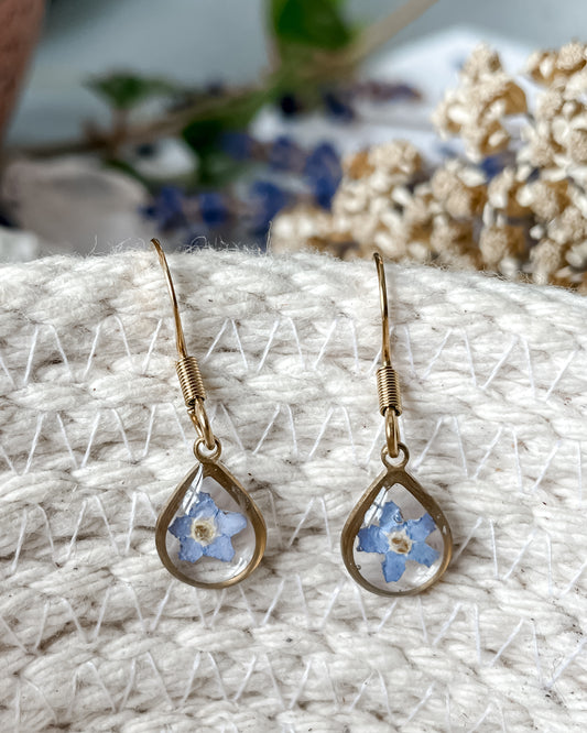 Forget Me Not Earrings Gold